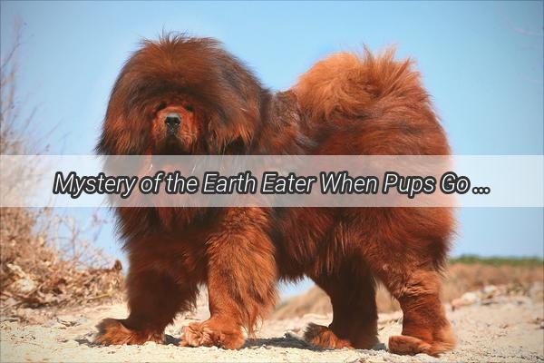 Mystery of the Earth Eater When Pups Go Thirsty for the Dust Bowl